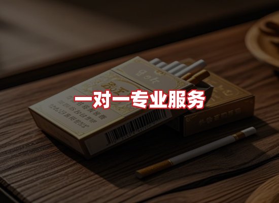 专业团队
